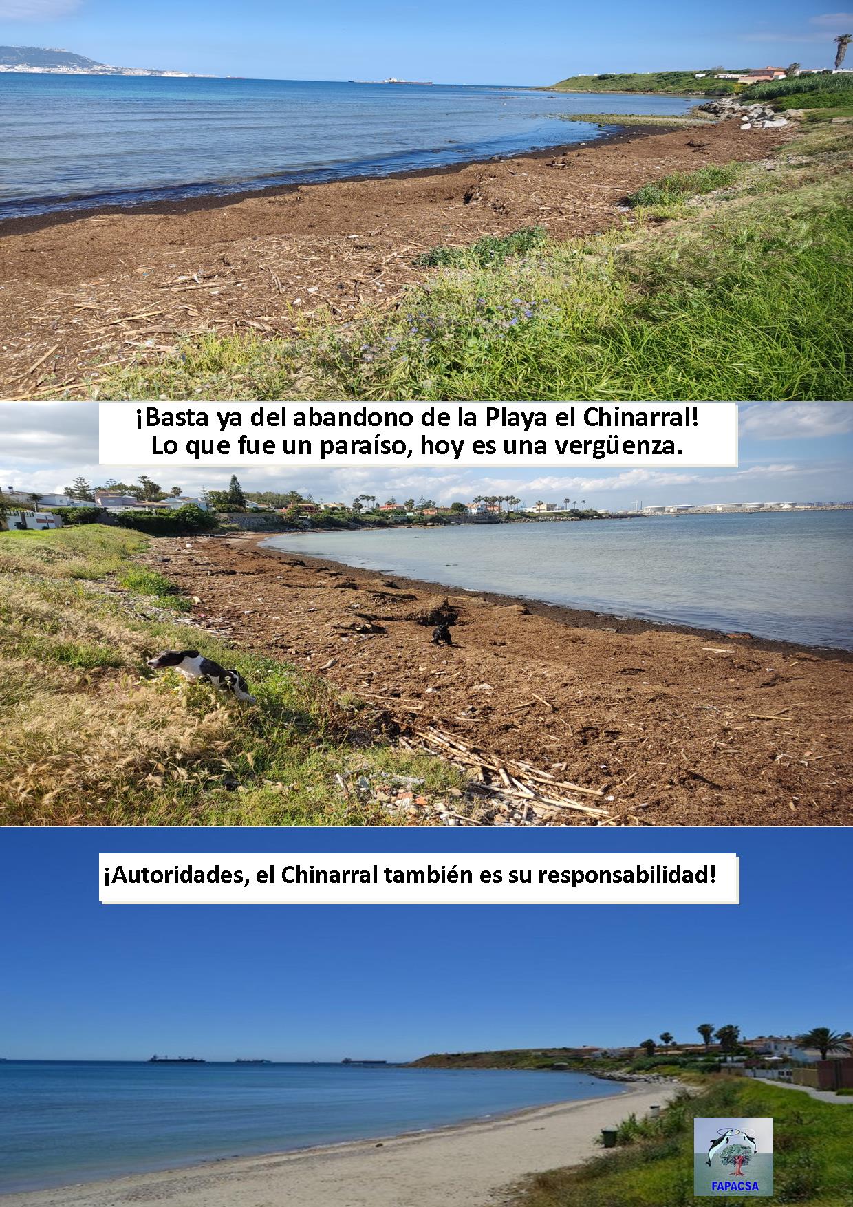 PLAYAS DE ALGECIRAS !QUE PENA!